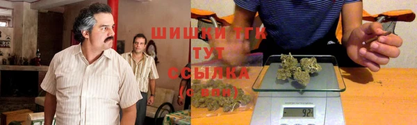 гидра Алексин