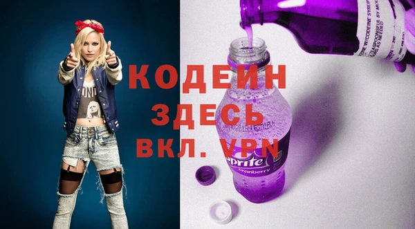 хмурый Абаза