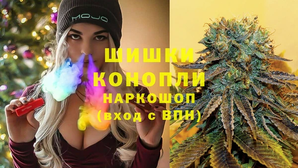 гашик Алзамай