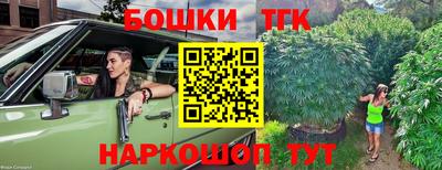 винт Дубна