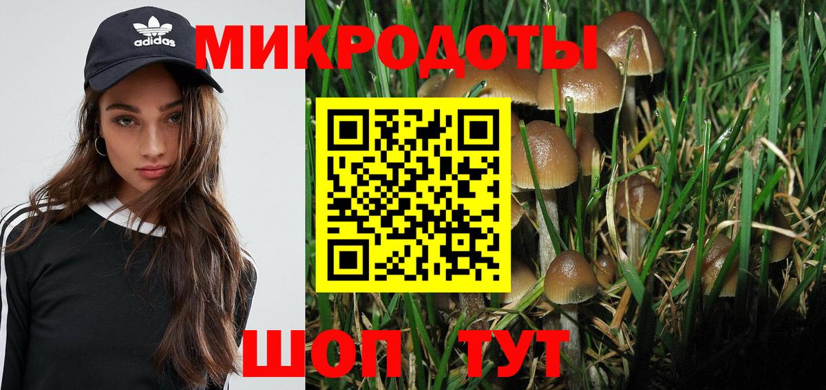 Псилоцибиновые грибы мицелий  Псилоцибиновые грибы Psilocybine cubensis  наркошоп  Вход с VPN  Елизово 